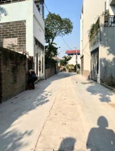 B.Á.N ĐẤT - TỔ 9 QUANG MINH MÊ LINH -